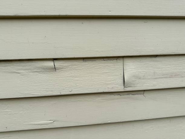 Best Engineered Wood Siding  in Wenonah, NJ